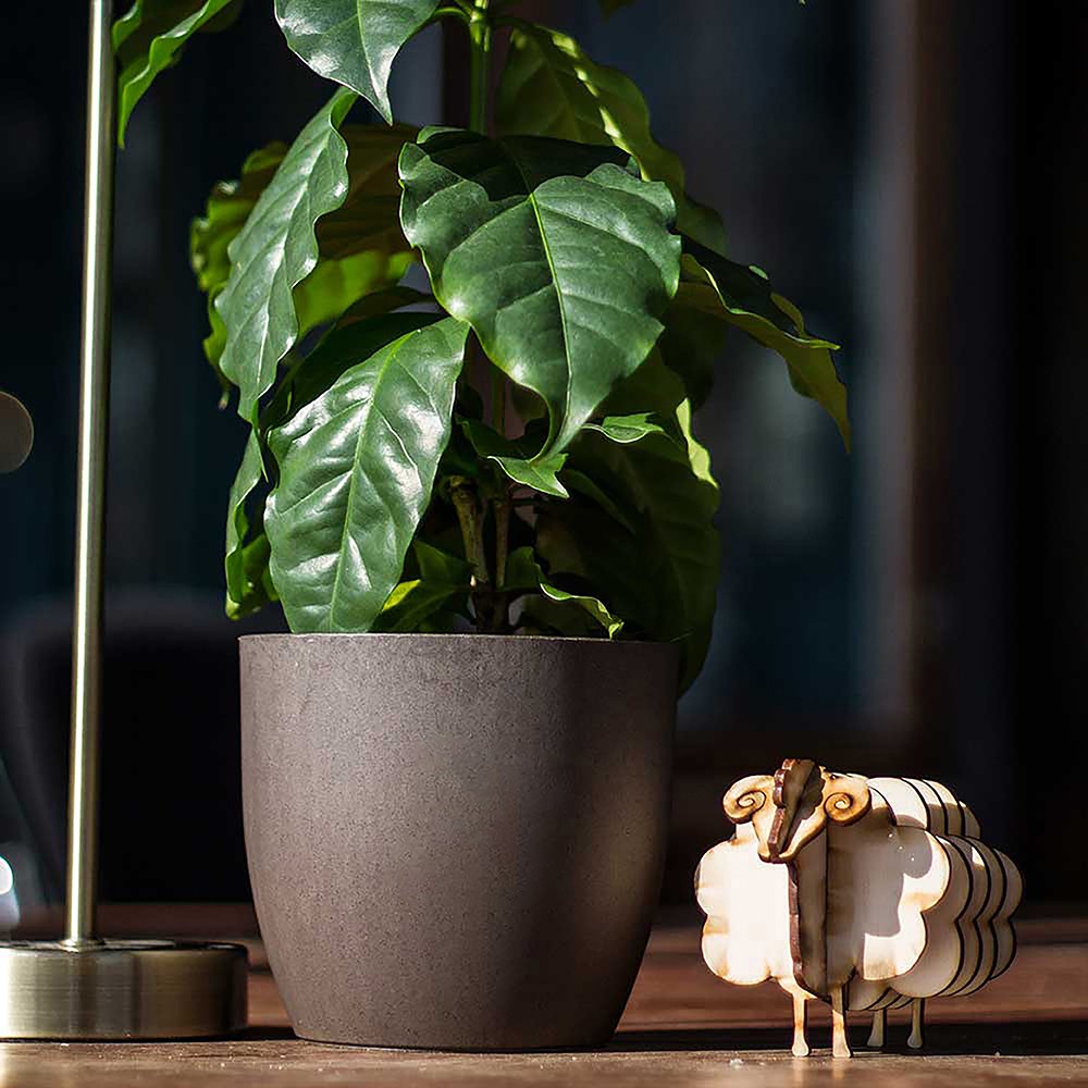 Coffee Based Plantenpot _Arabica Black 02_20251001152600834